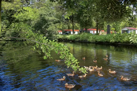 Camping Duinrell foto 13