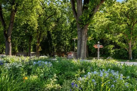 Buitenplaats de Hildenberg foto 5