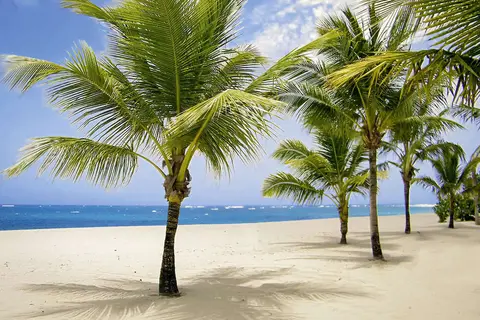 Viva Wyndham V Heavens in Puerto Plata — foto 11