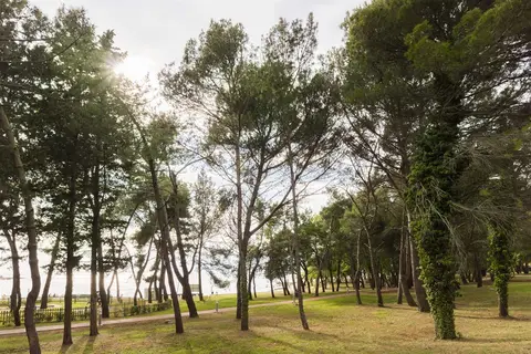 Vakantiepark Stella Plava Laguna in Monterol — foto 17