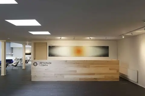 Reykjavik Lights Hotel in Reykjavik — foto 4