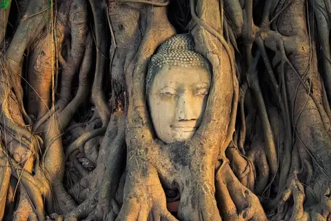 Explore Tropical Thailand foto 7