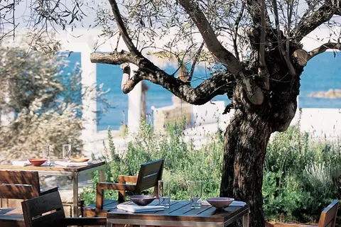 Almyra in Paphos — foto 11