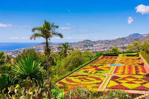 Mooi Madeira in Martingança Gare
