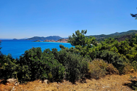 Appartementen Villa Themos foto 15