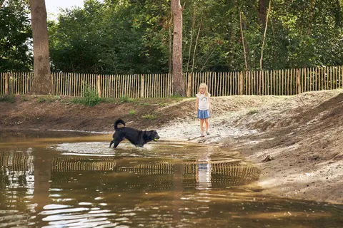 Camping Rcn De Flaasbloem foto 16