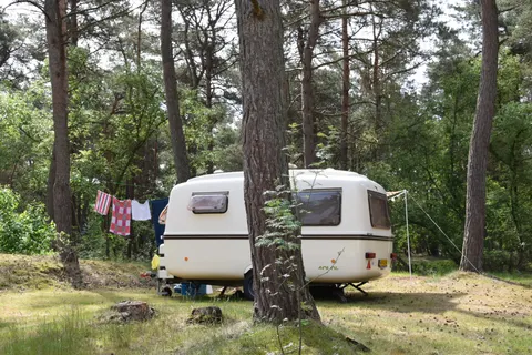 Camping Horstmannsbos foto 14