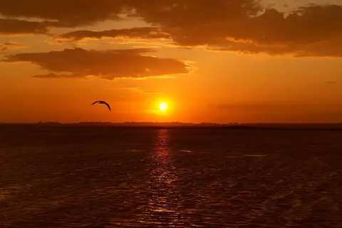 Costa D Argento in Capalbio — foto 10
