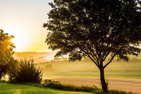 Vakantiepark Gulperberg foto 27