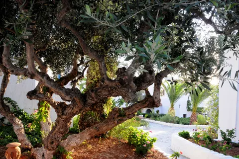 Hersonissos Village Hotel & Bungalows foto 18
