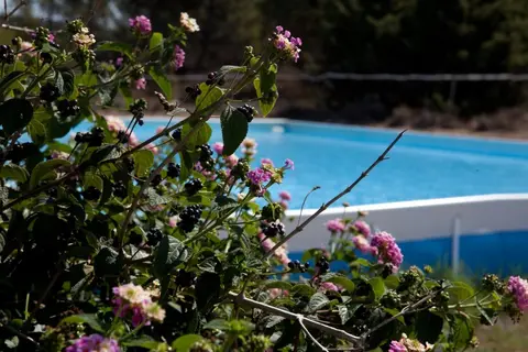 Club Esse Gallura Beach Village in Aglientu, foto 3