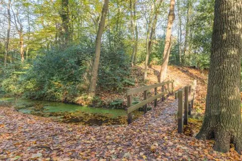 Hotel Zeebergen foto 29