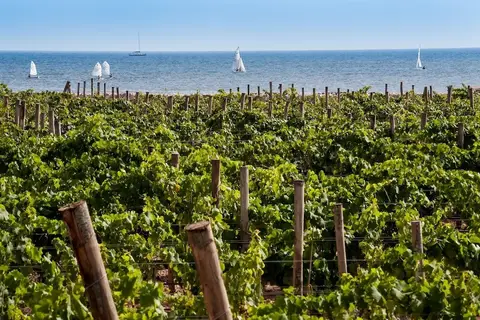 Firriato Hospitality - Calamoni di Favignana Apartments & Wine Experience in Favignana — foto 22