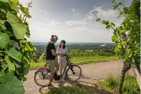 Hotel Markushof in Bad Bellingen — foto 8