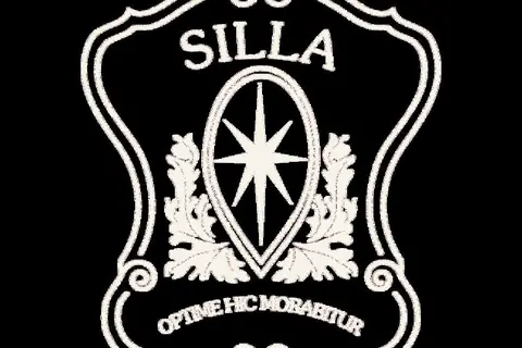 Hotel Silla in Florence, foto 28