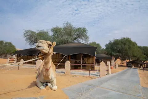 Thousand Nights Camp in Wahiba Sands — foto 19