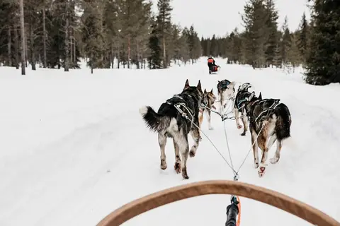 8 daagse excursiereis Lapland hotel Saaga in Kolari — foto 3
