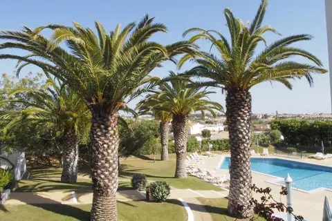 Parque Monte Verde in Lissabon — foto 16