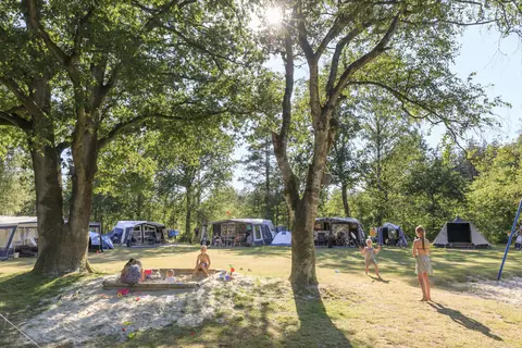 Rcn De Roggeberg in Appelscha — foto 3