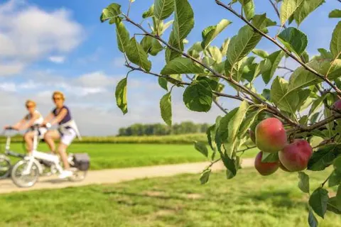 Green Resort Limburg foto 21