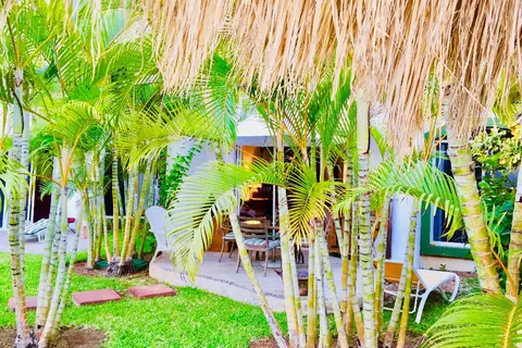 Dolce Vita Caribe B&B in Playa del Carmen — foto 22