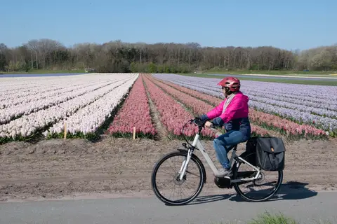 Fietscruise voorjaarstour tulpen en Nederlands erfgoed met De Holland in Westerveld — foto 3