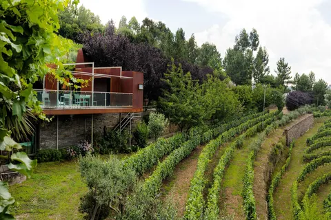 Vila Marim Country Houses in Mesão Frio — foto 16