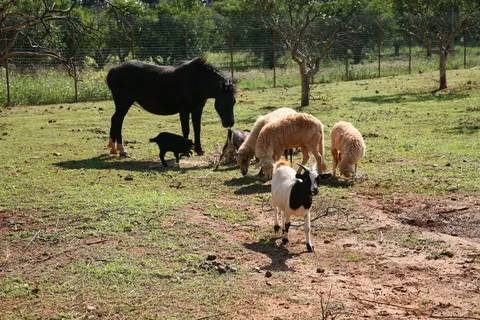 Agriturismo Case di Latomie foto 19