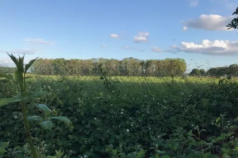 Bed and Breakfast In de Hei foto 12