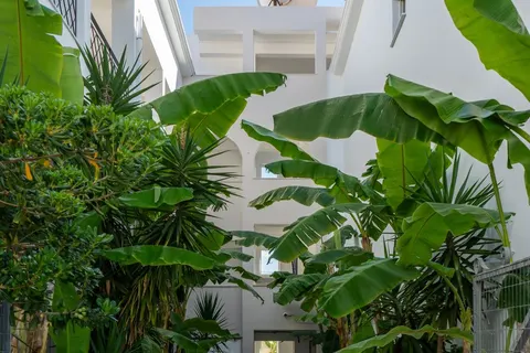 Mojo Hotel in Laganas Municipal Unit — foto 5