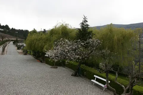 Quinta da Timpeira in Lamego — foto 11