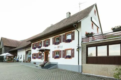 Hotel Landgasthof zum Pflug foto 19