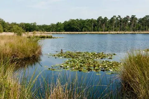 Hotel de Naaldhof foto 35