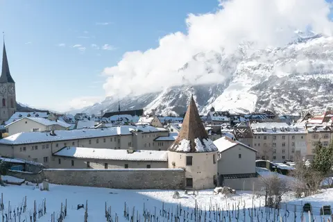 Kerst met de Glacier- en Bernina Express in Zwitserland — foto 13