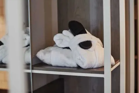 Carlton President foto 18