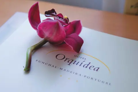 Orquidea in Funchal — foto 4