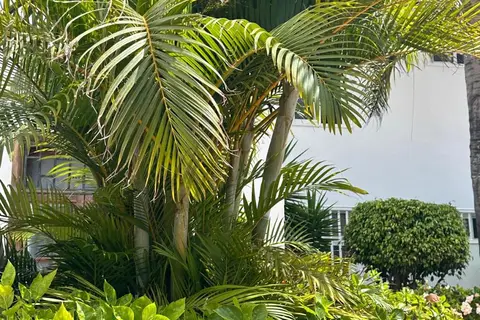 Hotel Malibu Park in Adeje — foto 17