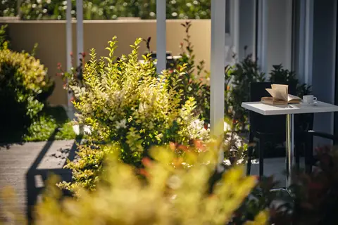 Cactus Hotel in Δημοτική Ενότητα Λαγανά — foto 25