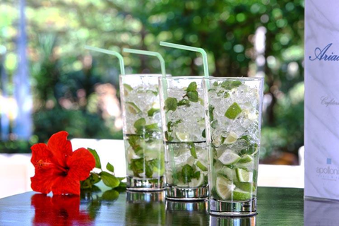 Hotel Apollonia Beach Resort & Spa foto 16