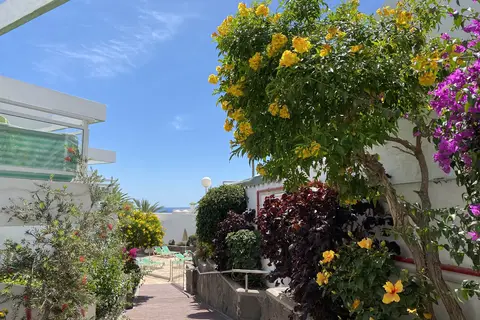 Resort Hotel Acapulco Ocean View in San Bartolomé de Tirajana — foto 8