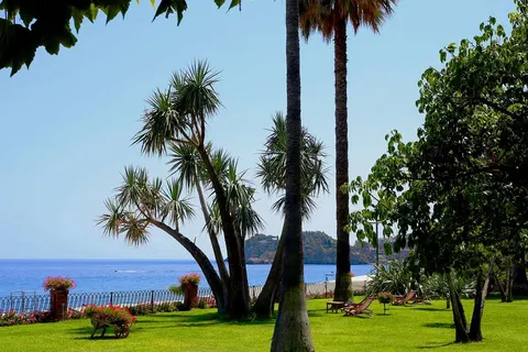 Caparena foto 11