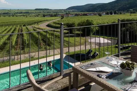 Hotel Leinsweiler Hof foto 3