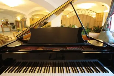 Park Hotel Terme Mediterraneo in Forio, foto 15
