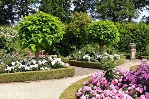 Parkhotel Horst foto 31