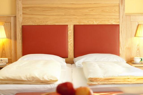 Hotel Österreichischer Hof foto 2