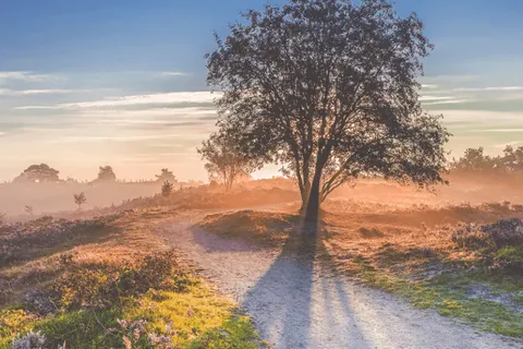 Hub Resorts Drentse Weelde foto 4