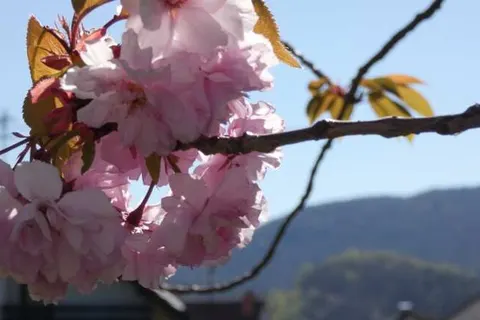 St. Martiner Castell foto 13