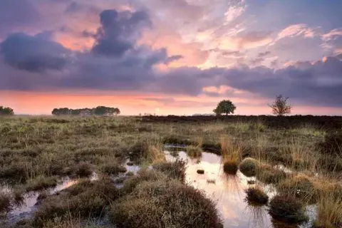 Bed and Breakfast Drentse Krent foto 17