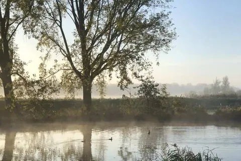 Vakantiepark Delftse Hout foto 22