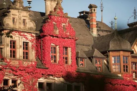 Hotel Birkenhof (Bad Soden-Salmünster) foto 29